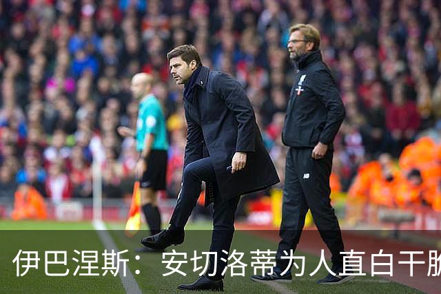 伊巴涅斯：安切洛蒂为人直白干脆，他安排我踢什么位置都可以