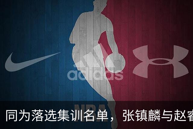 同为落选集训名单，张镇麟与赵睿的境遇差异何在？
